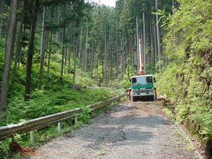 森林施業道の林道を走るトラックの写真