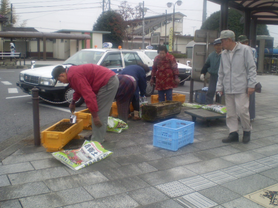 パンジーの植替えを行う上野町東寿会の方々の写真
