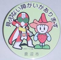 見えない障がいバッジ（緑）の写真