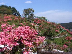 鹿沼市の写真