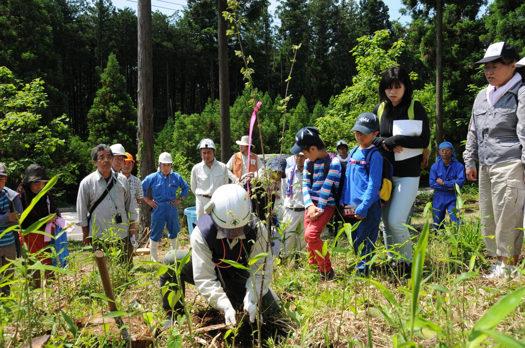 植樹交流 植樹交流