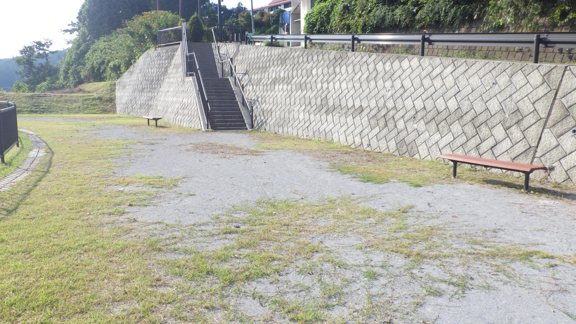 浅間公園写真