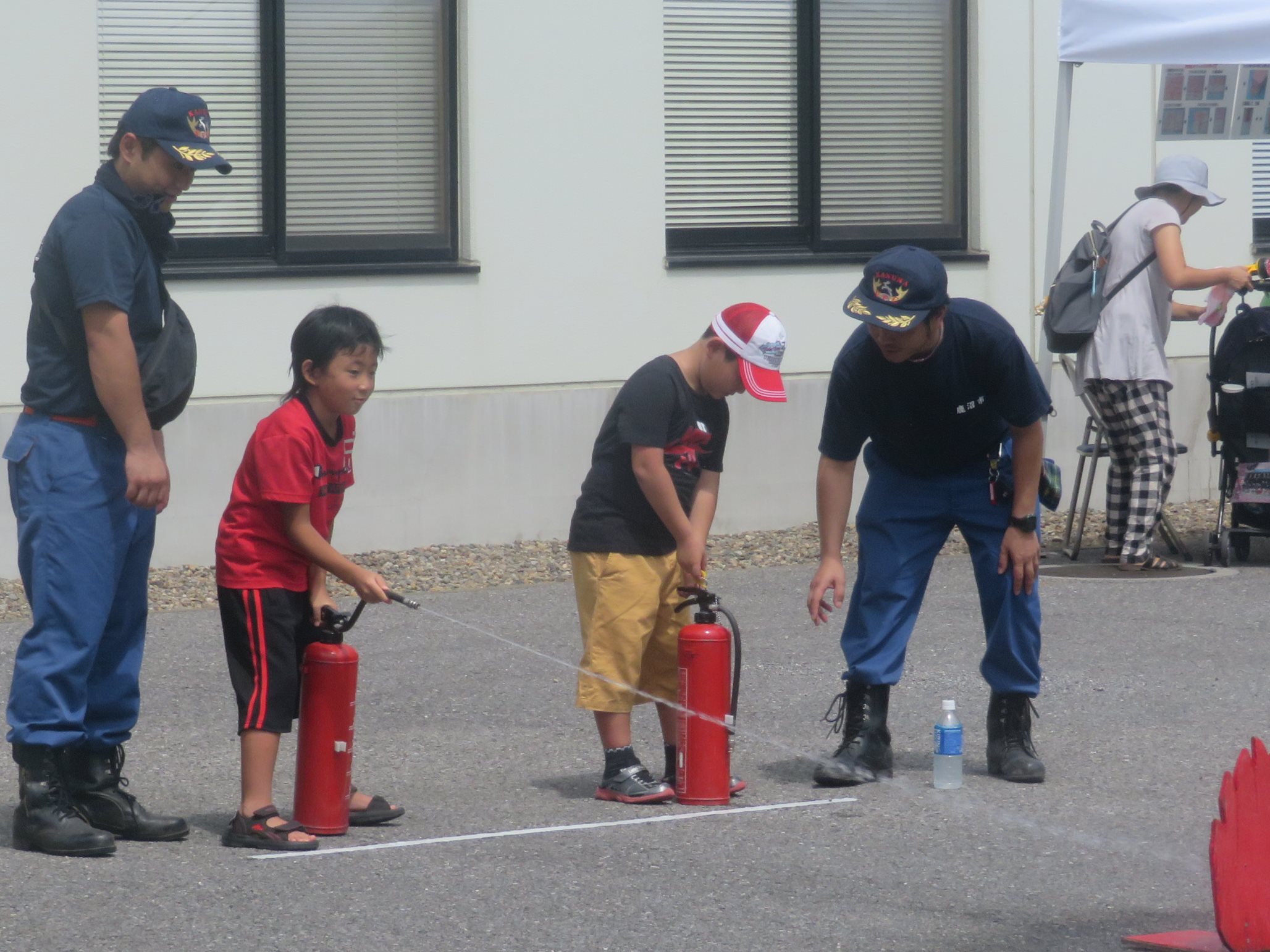 IMG_1229 IMG_1229