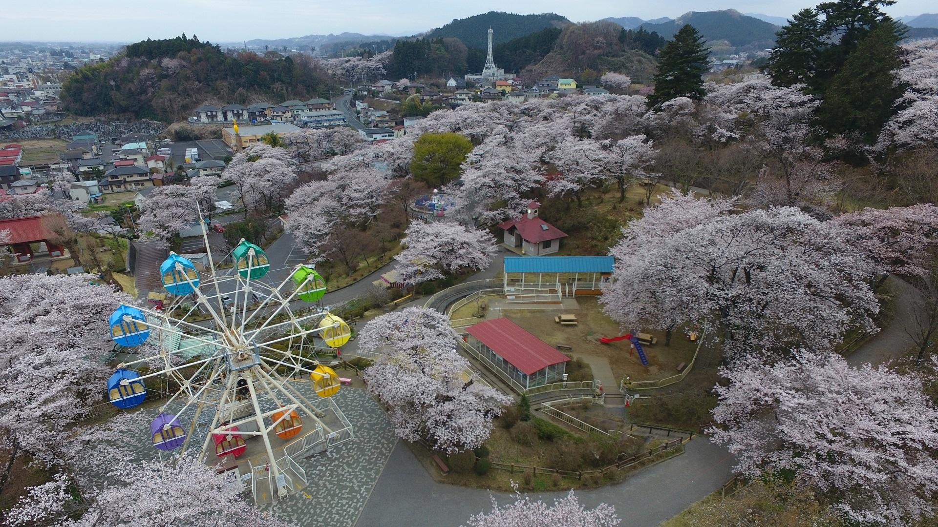 05_千手山公園 05_千手山公園