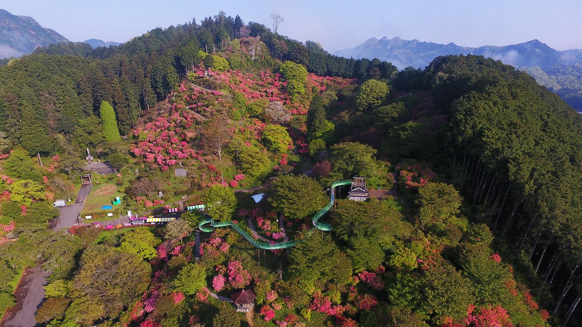 06_城山公園 06_城山公園