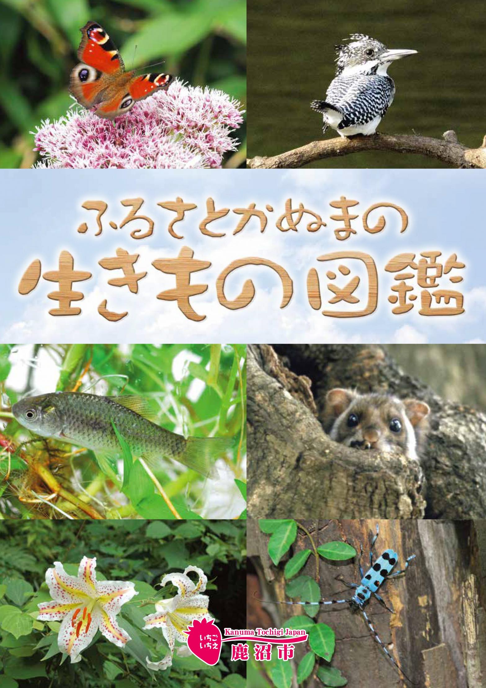 表紙 表紙