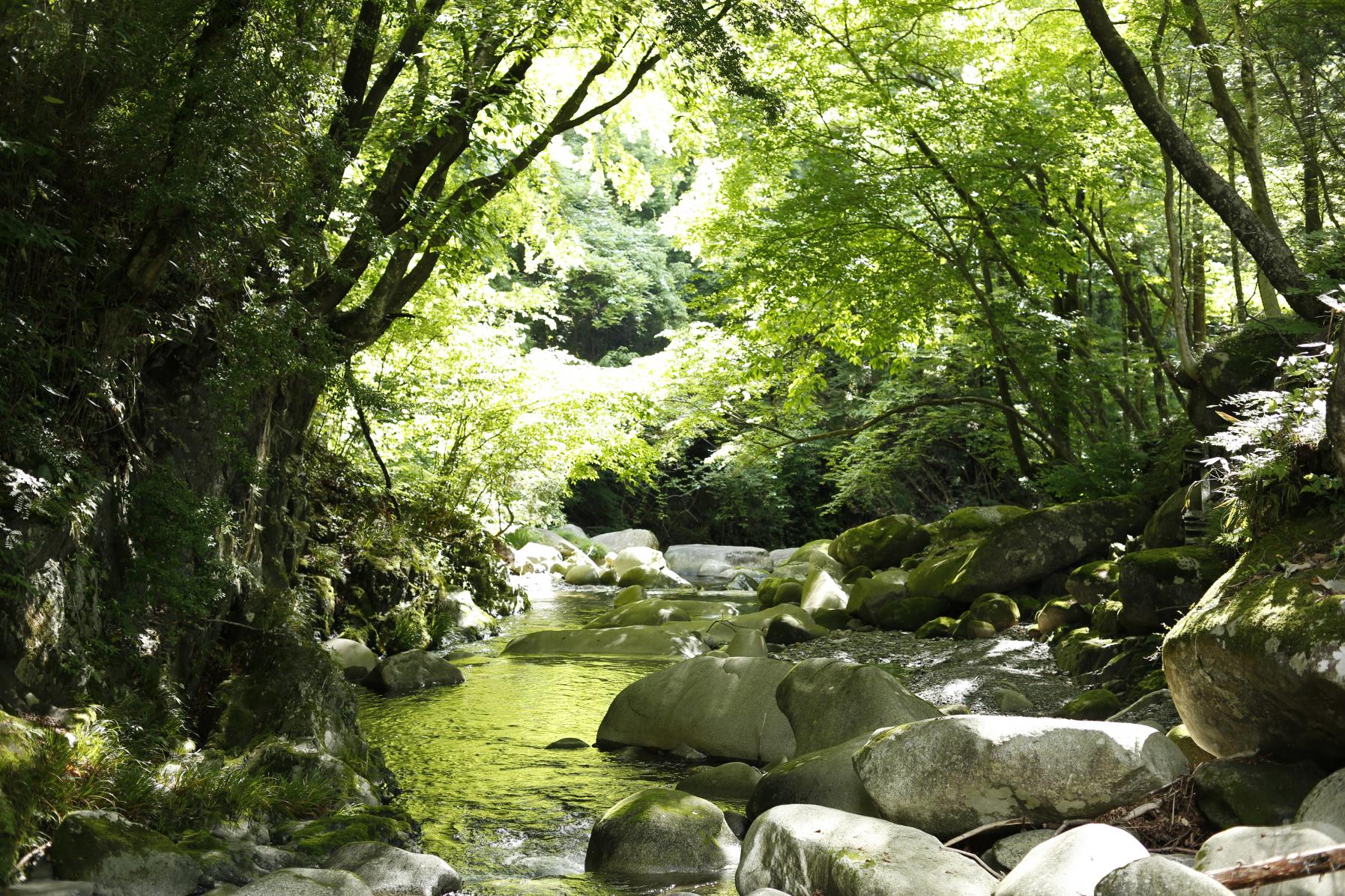 前日光あわの山荘