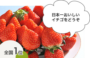 日本一おいしい イチゴをどうぞ