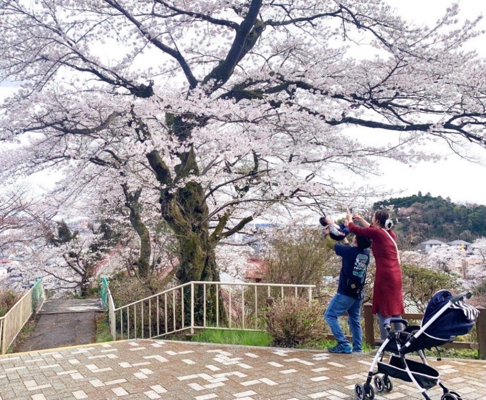 写真撮影 写真撮影