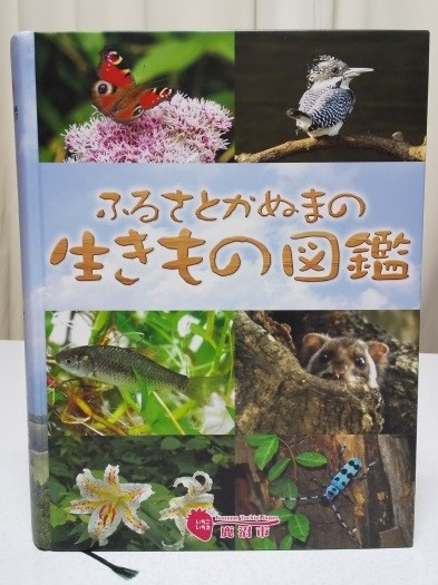 生きもの図鑑 生きもの図鑑