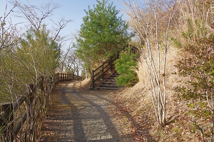 遊歩道 遊歩道