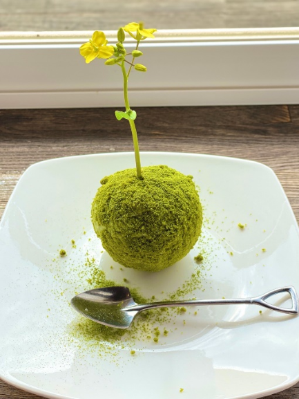 Bonsai_cafe苔玉アイス Bonsai_cafe苔玉アイス