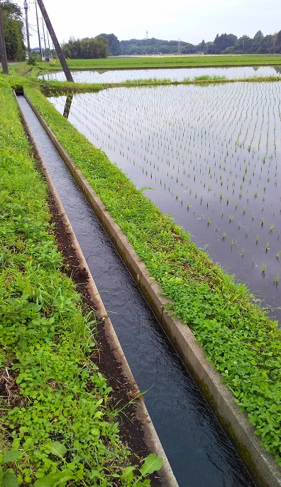 畔水路 畔水路