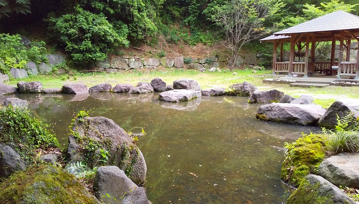 池全景