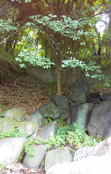 清水が湧き出るところ 清水が湧き出るところ