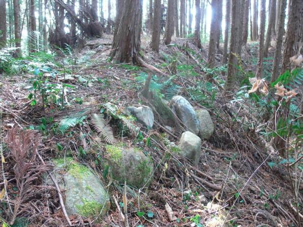 写真(3)－登城路付近石垣