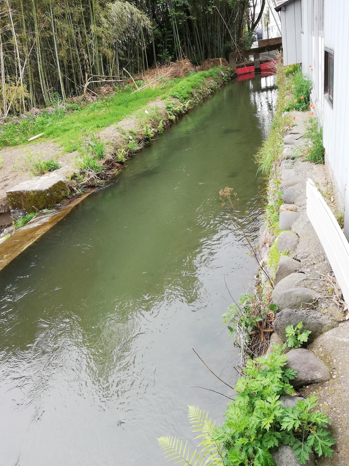 木島堰の取水口