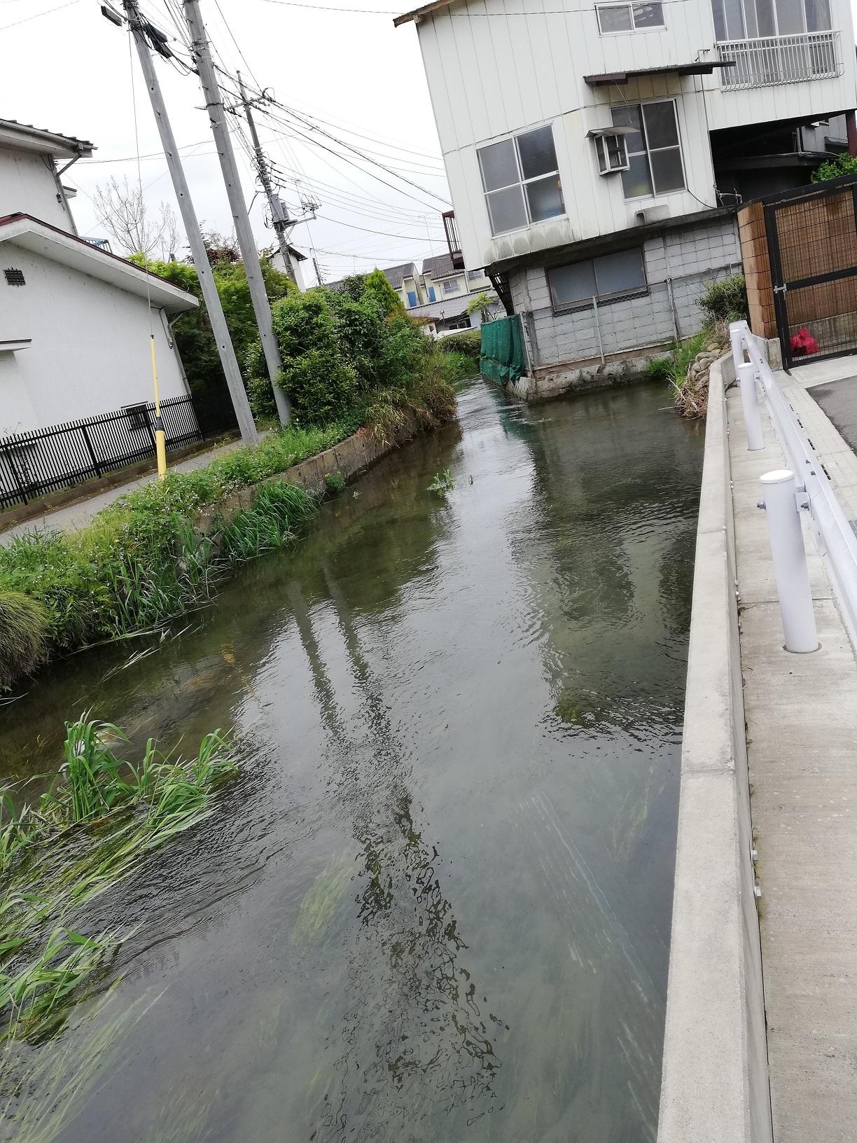 木島用水