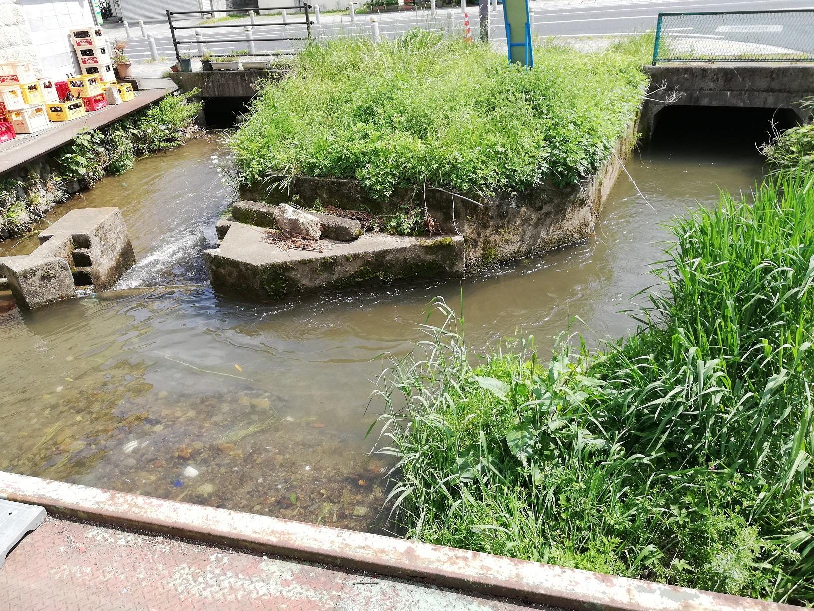 古峯通り手前の酒屋西側