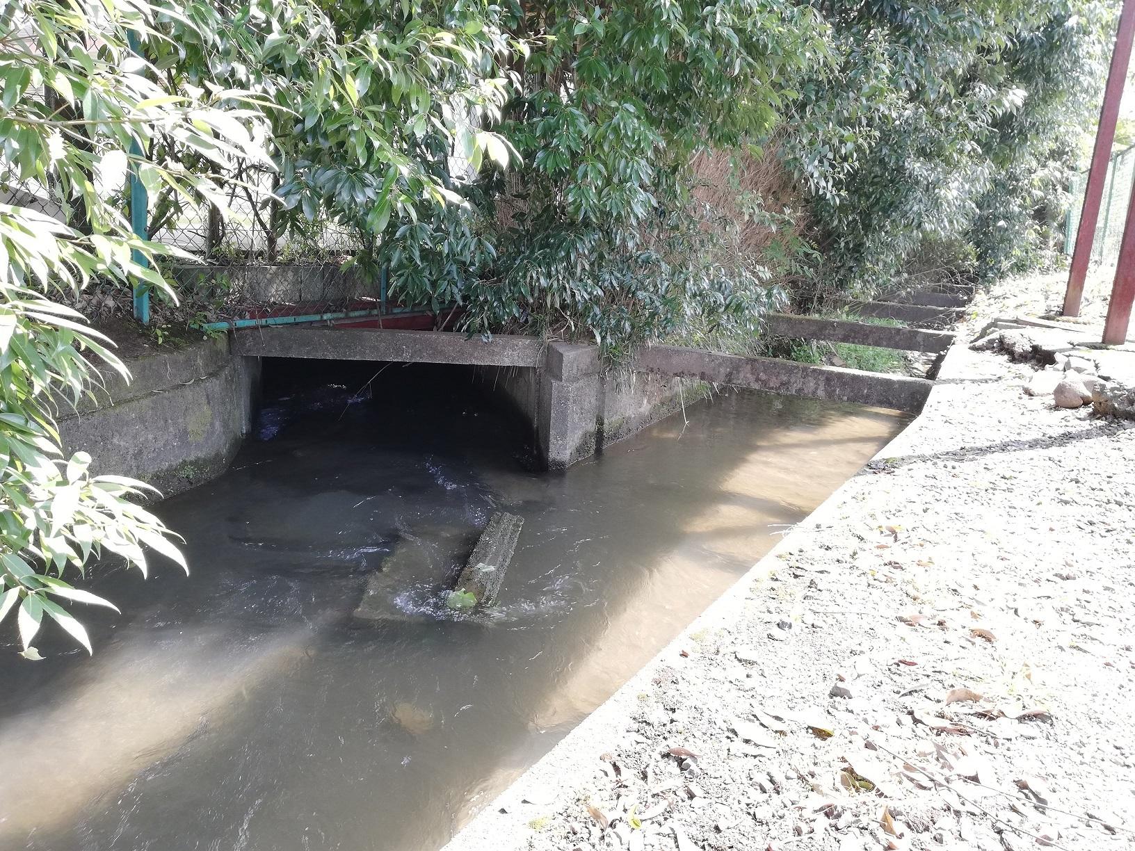 鹿高弓道場西で分流 鹿高弓道場西で分流