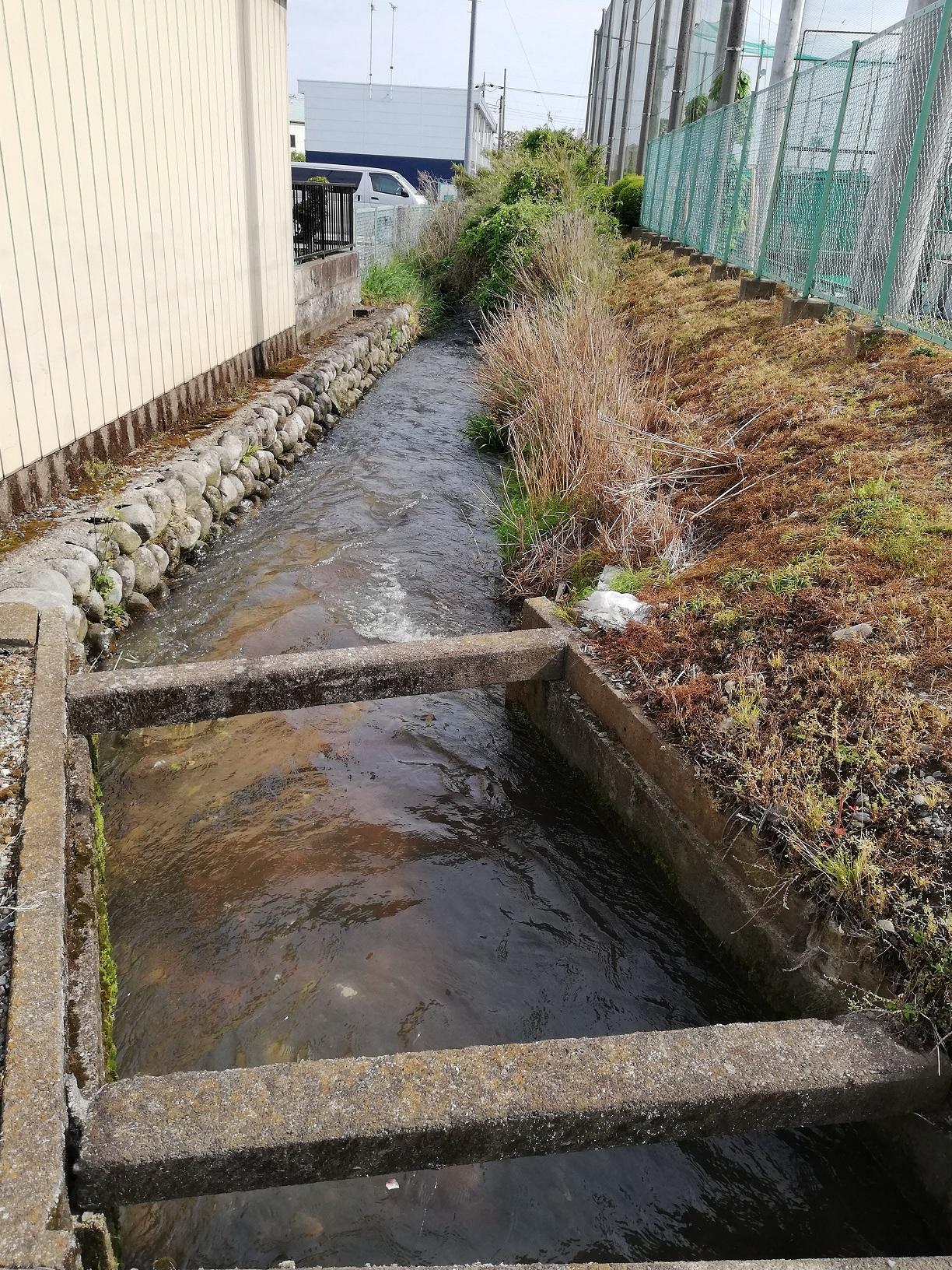 野球グランド1塁側沿い 野球グランド1塁側沿い
