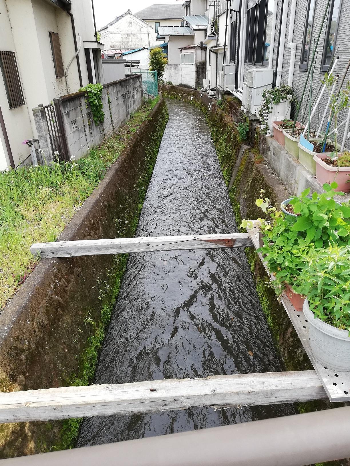 住宅の間を南下 住宅の間を南下