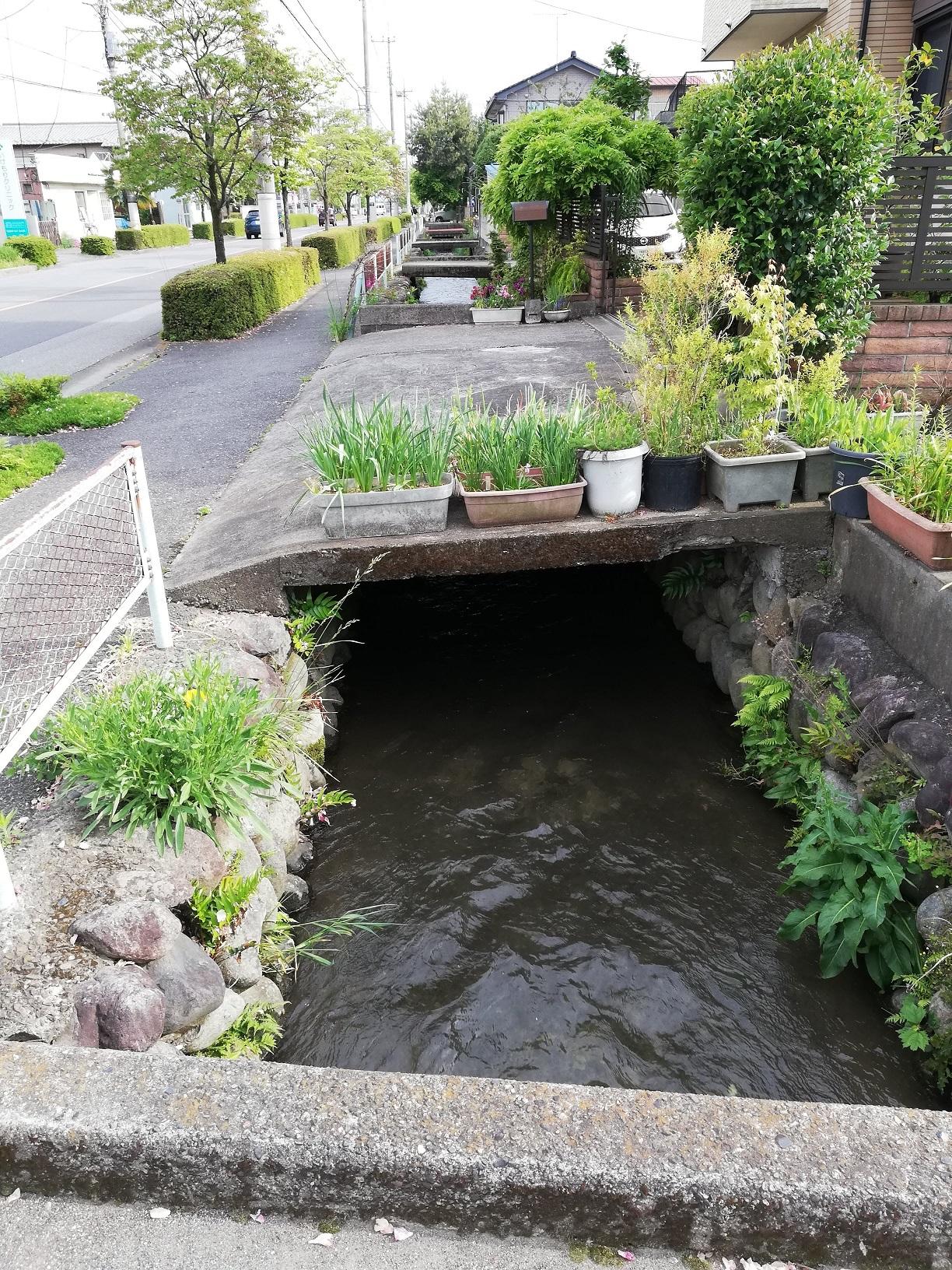 はなみずき通りの西側を流れる はなみずき通りの西側を流れる