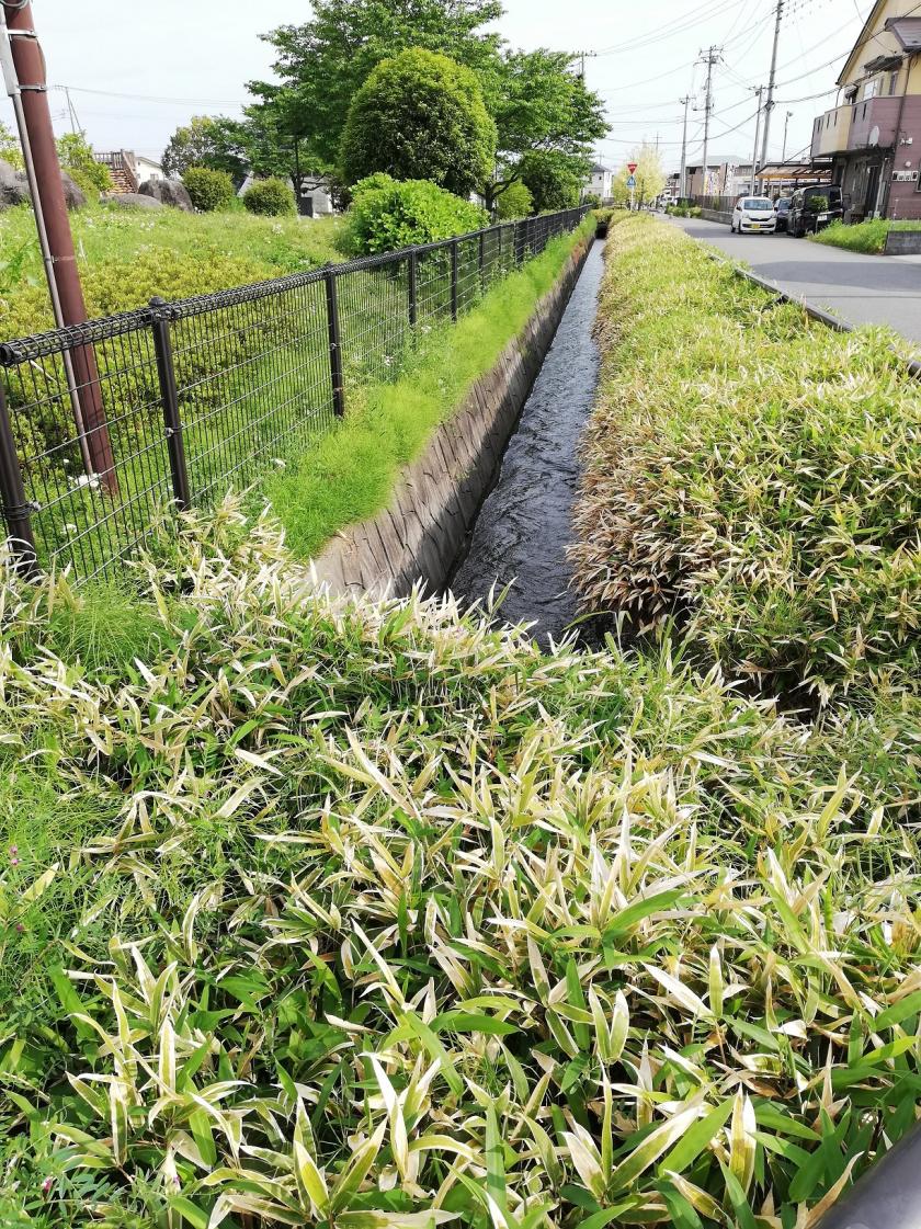 公園の西を南進 公園の西を南進
