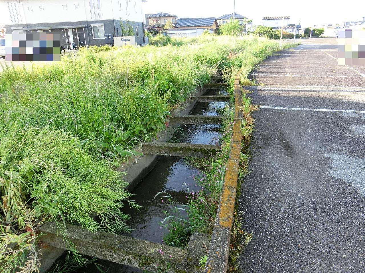 駐車場の縁に沿って南下 駐車場の縁に沿って南下