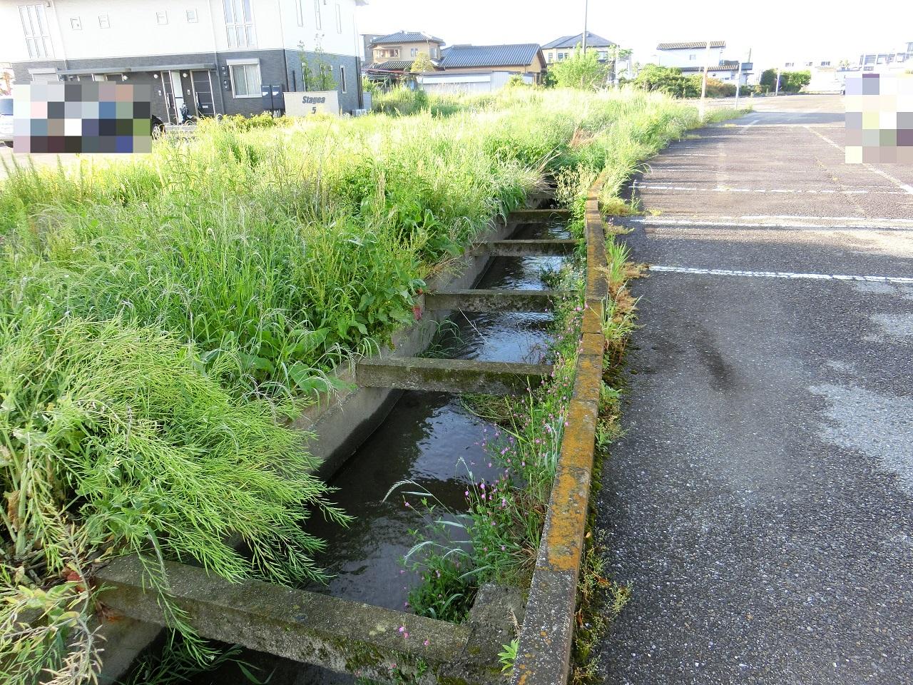 駐車場の縁に沿って南下