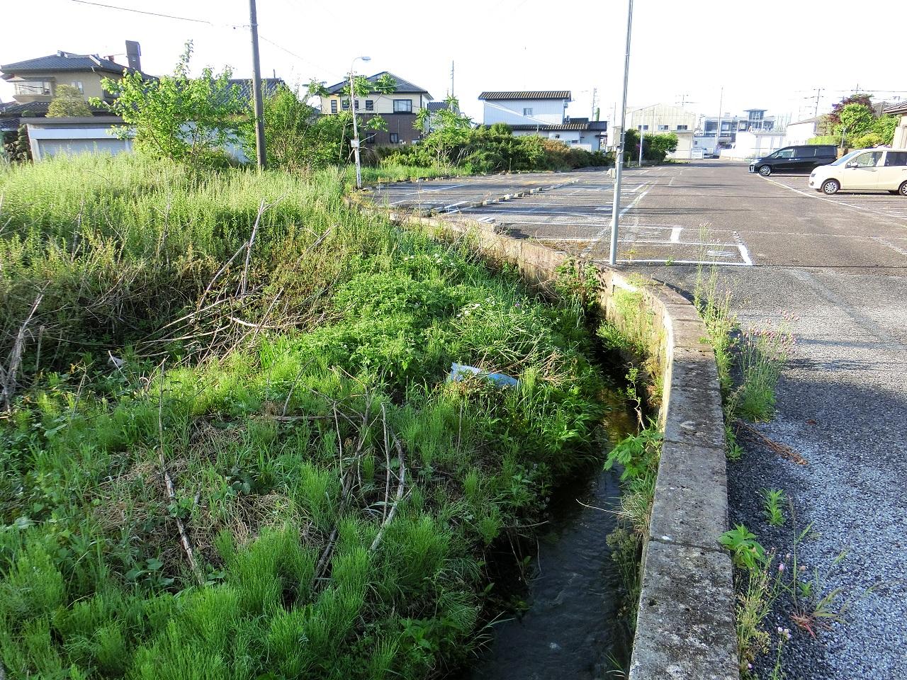 昔のままくねくね 昔のままくねくね