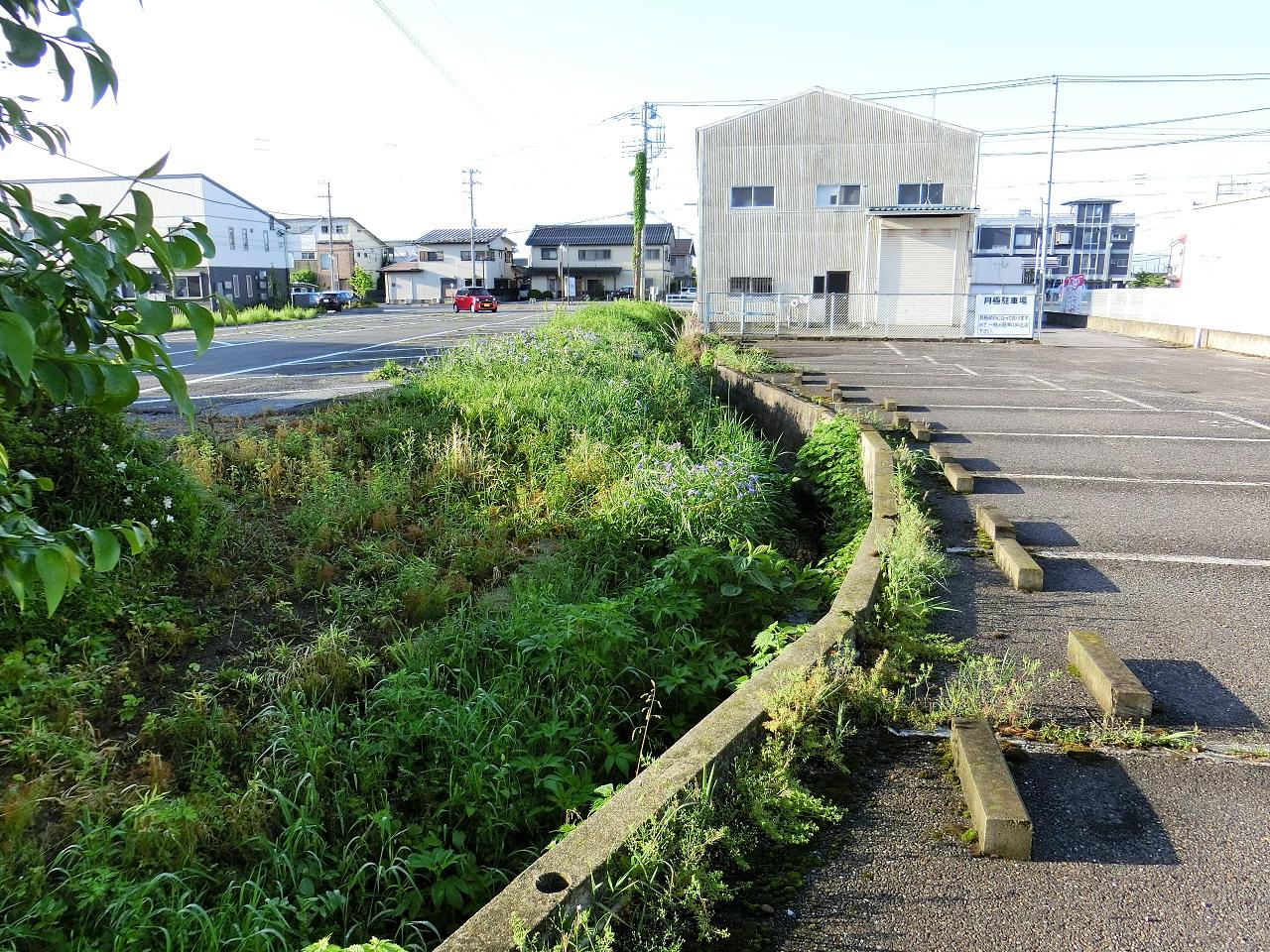 白い建物の横まで続く 白い建物の横まで続く