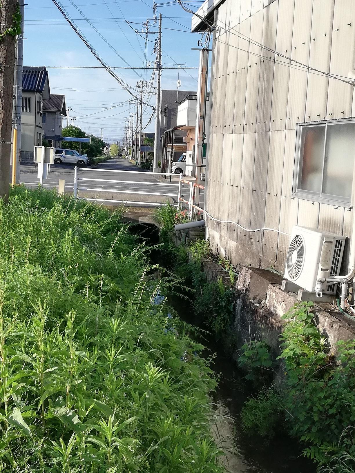 道路の下で暗渠となり住宅街へ 道路の下で暗渠となり住宅街へ