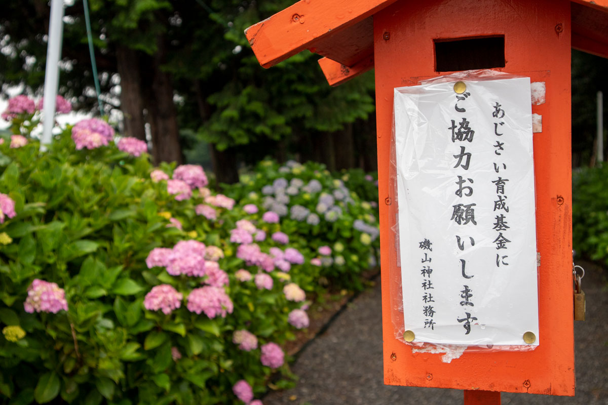「あじさい育成基金」用募金箱 「あじさい育成基金」用募金箱