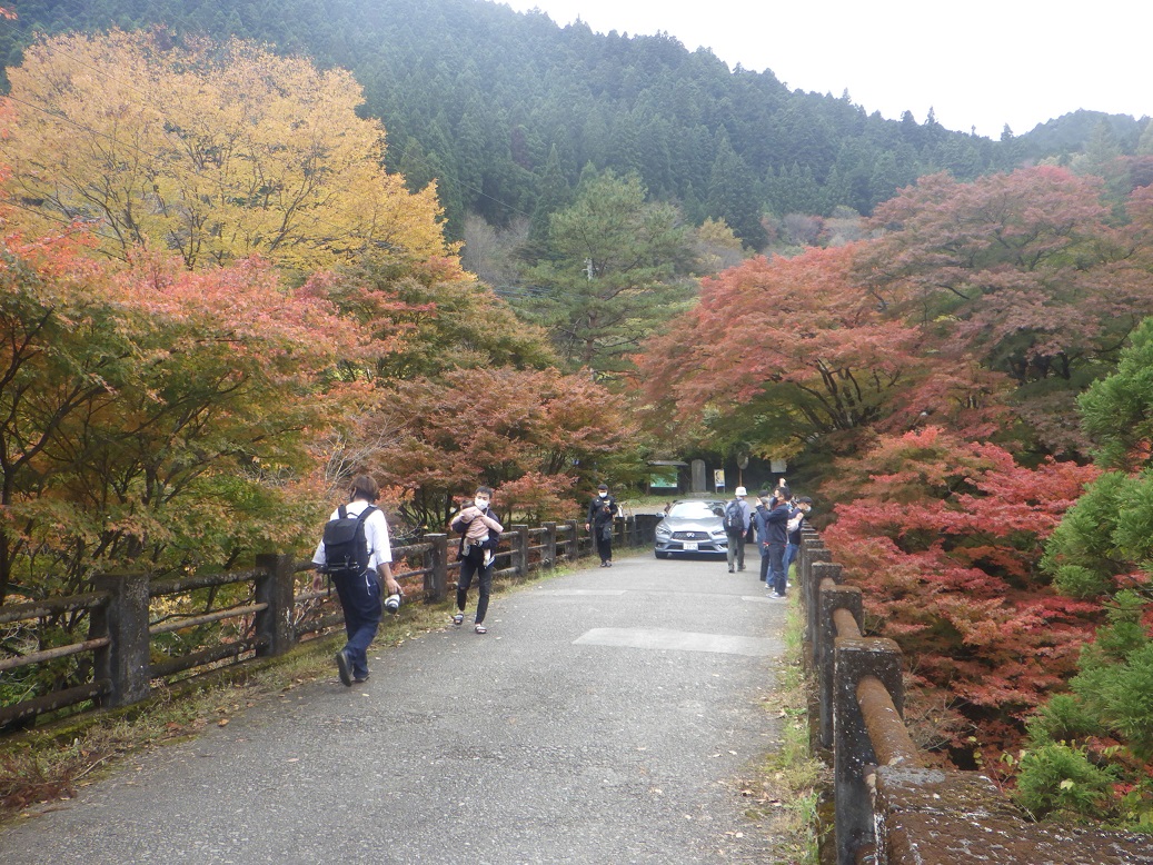 大芦渓谷の紅葉 大芦渓谷の紅葉