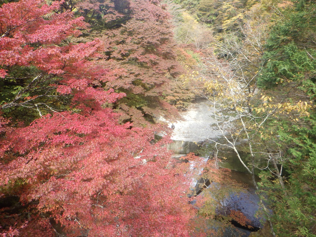 大芦渓谷の紅葉 大芦渓谷の紅葉