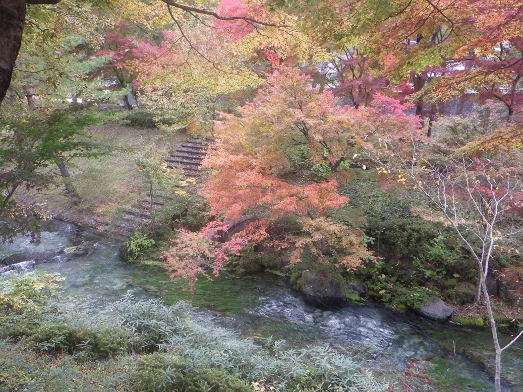 西大芦フォレストビレッジの紅葉