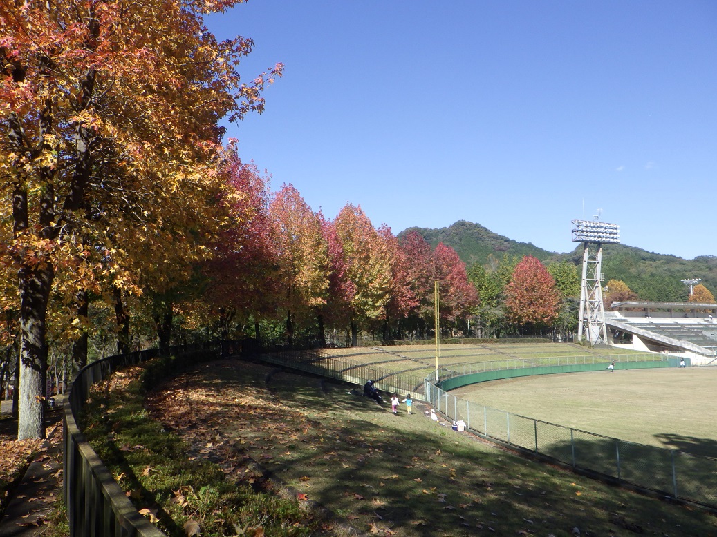 鹿沼運動公園の紅葉 鹿沼運動公園の紅葉
