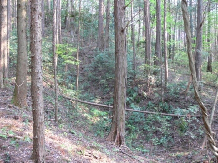 写真2－平野部の城山腹の竪堀