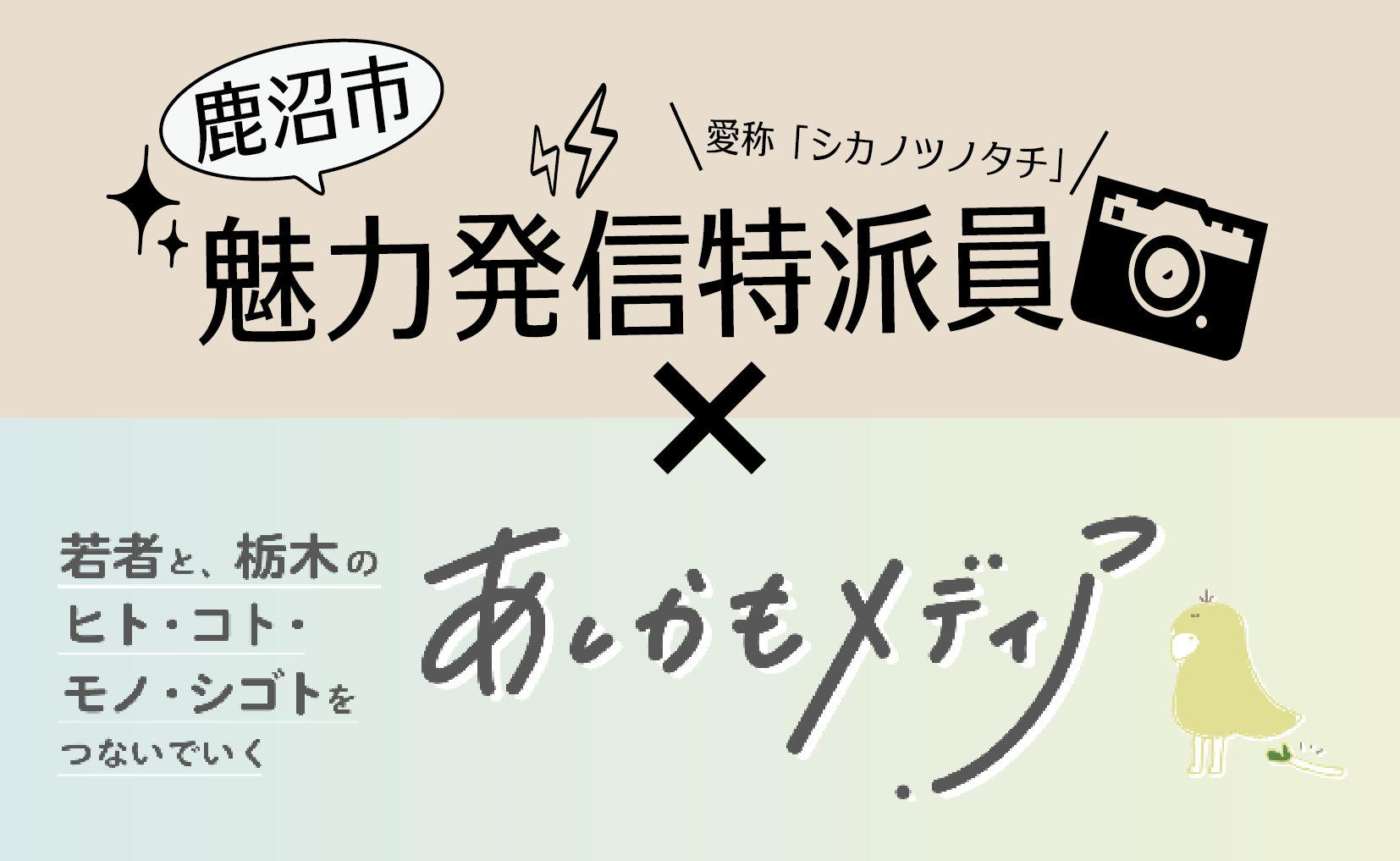 シカノツノタチについて取材していただきました！～【若者×地域】あしかもメディア～