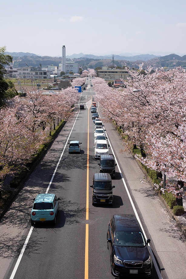 写真5_みはらし橋から警察署方面