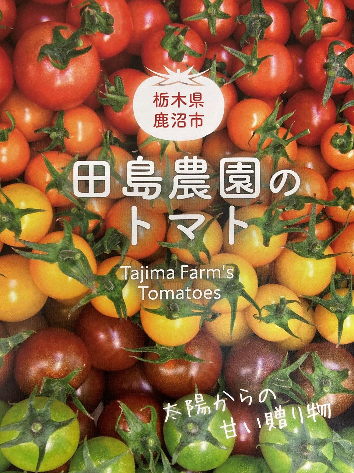 冒頭田島農園のトマトのチラシ画素低