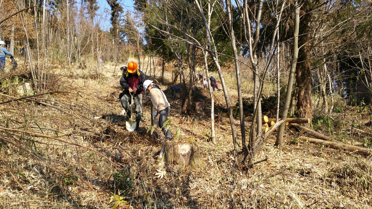 元気な森づくり里山林整備