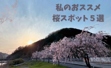 まだまだ知られていない？私の鹿沼のおススメ桜スポット5選