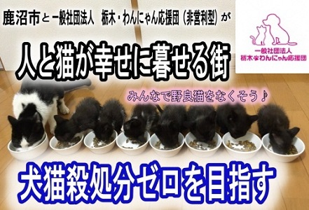 一般社団法人栃木・わんにゃん応援団（非営利型法人）