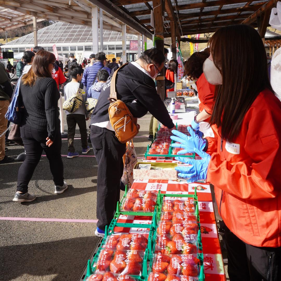 いちご市のいちごづくしイベント「いちごのもり」出店者募集