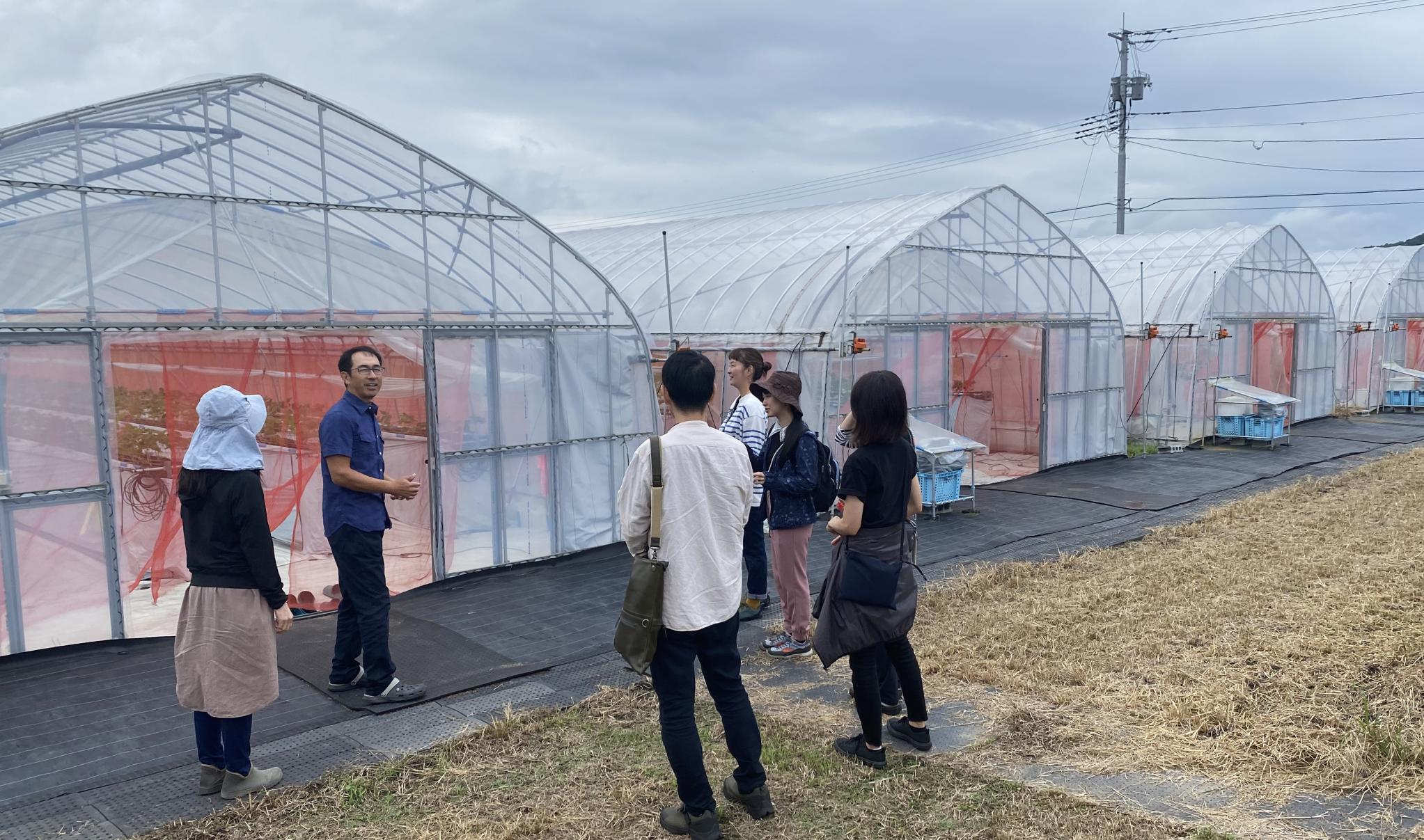 かわはら農園見学