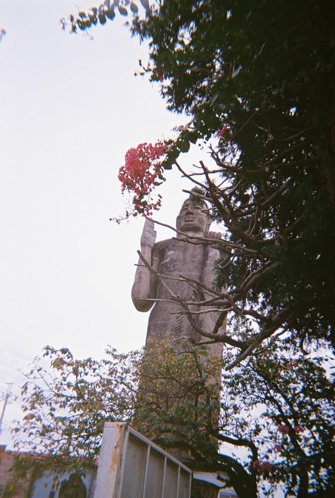 清林寺のアウカナ佛