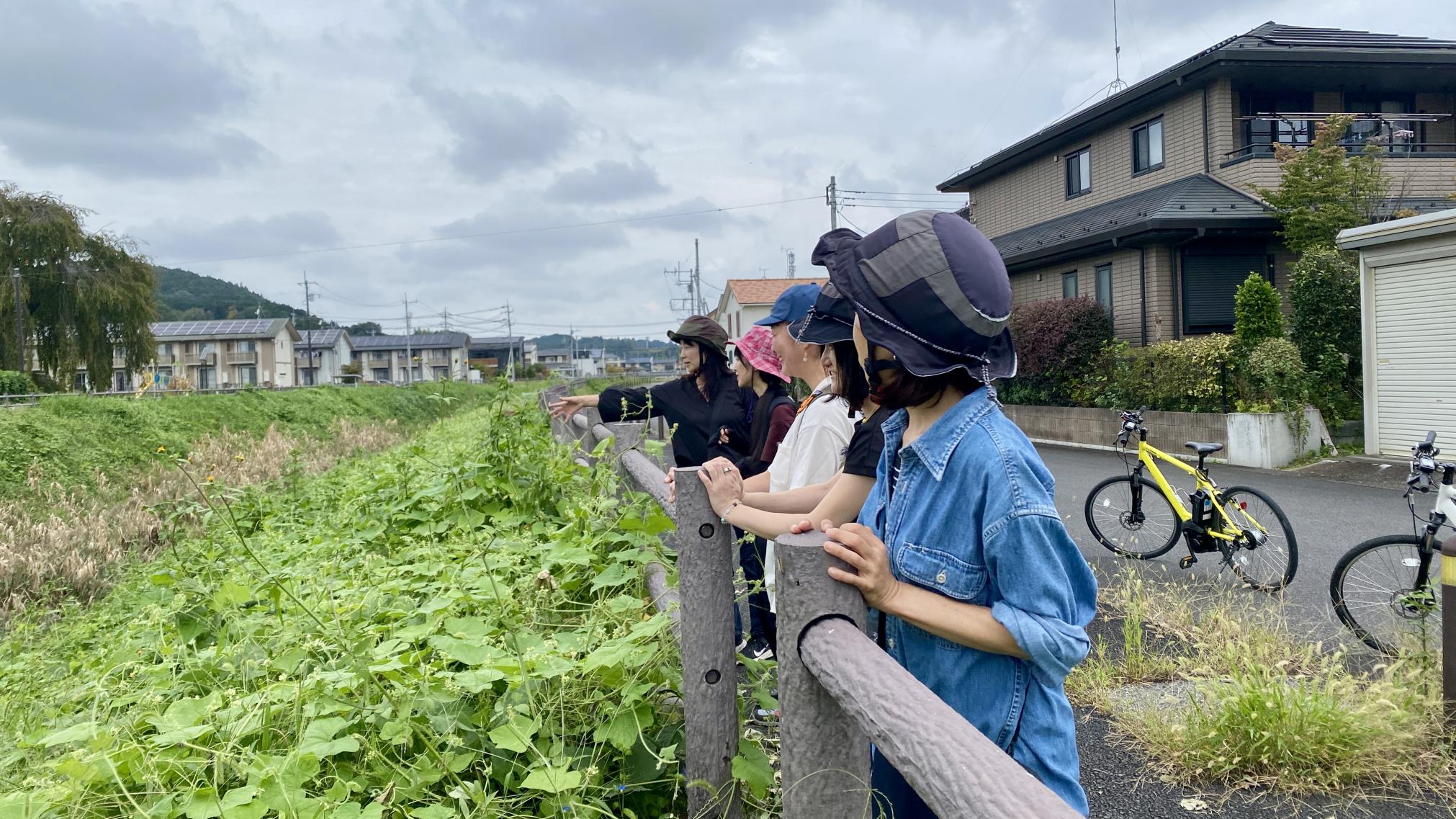 サイクリングツアーの様子