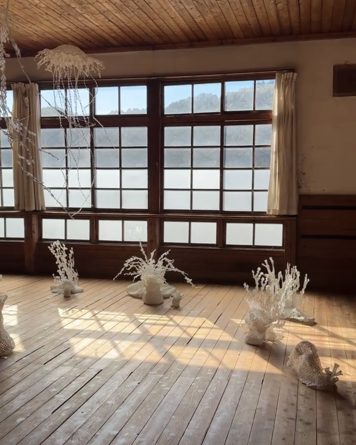 20.顏慧 サンゴ(2)